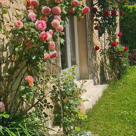 Petit Gite De Provence Mazan Dış mekan fotoğraf