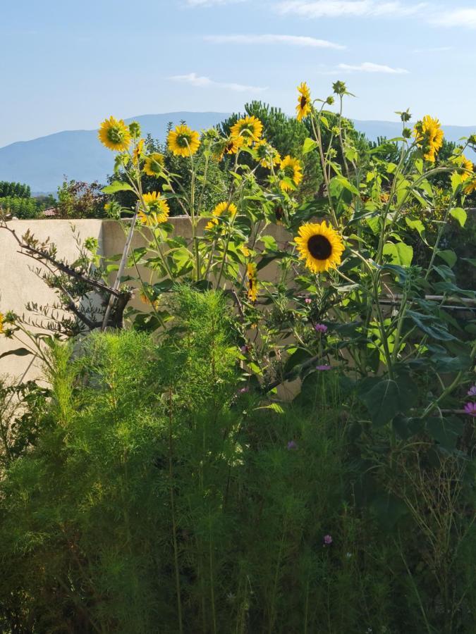 Petit Gite De Provence Mazan Dış mekan fotoğraf
