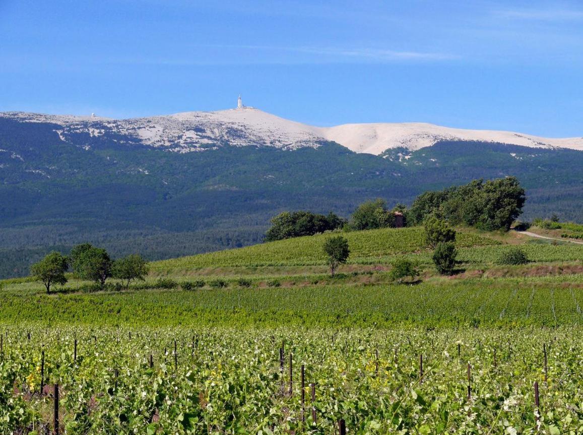 Petit Gite De Provence Mazan Dış mekan fotoğraf