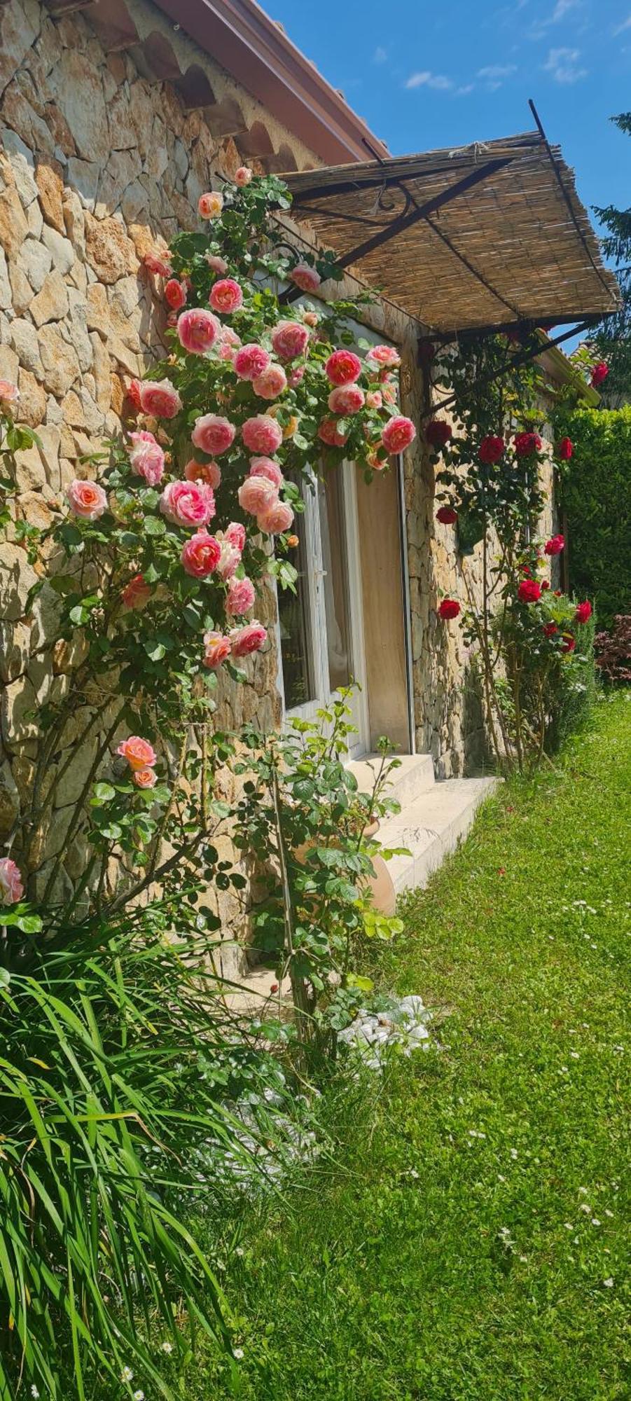 Petit Gite De Provence Mazan Dış mekan fotoğraf