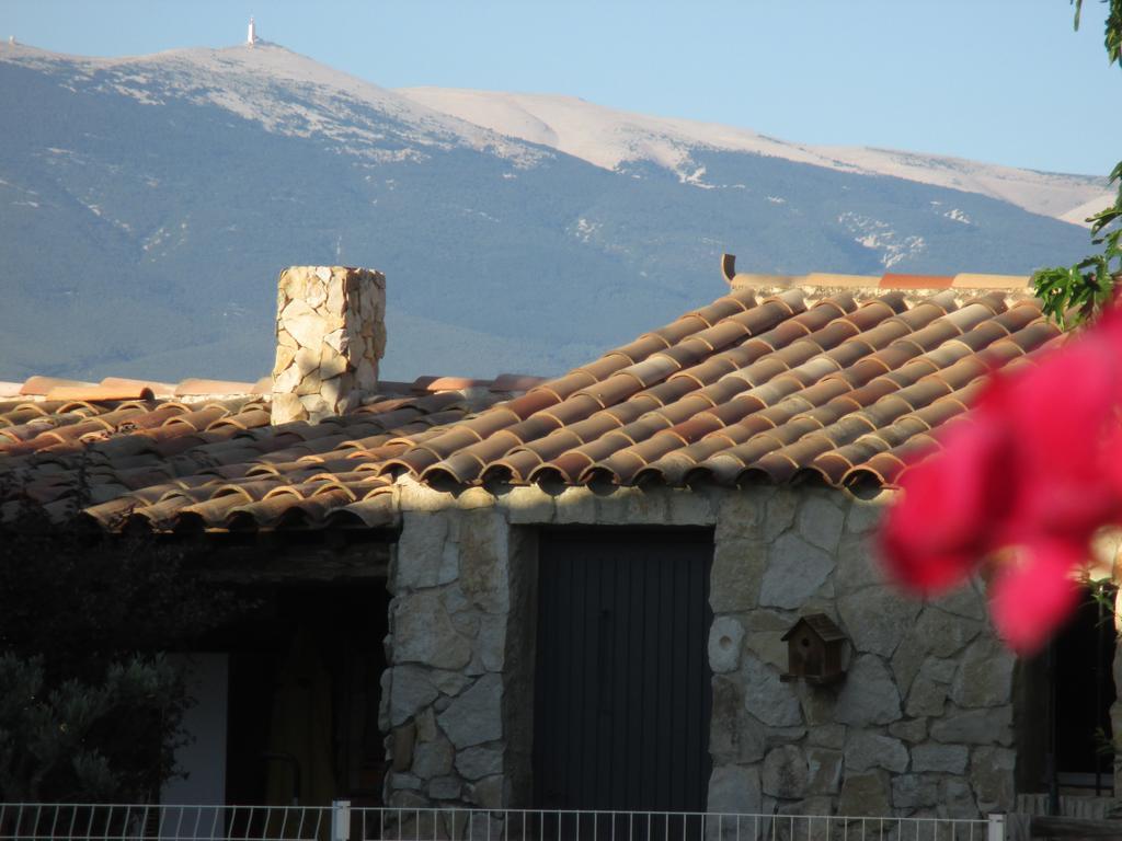 Petit Gite De Provence Mazan Dış mekan fotoğraf